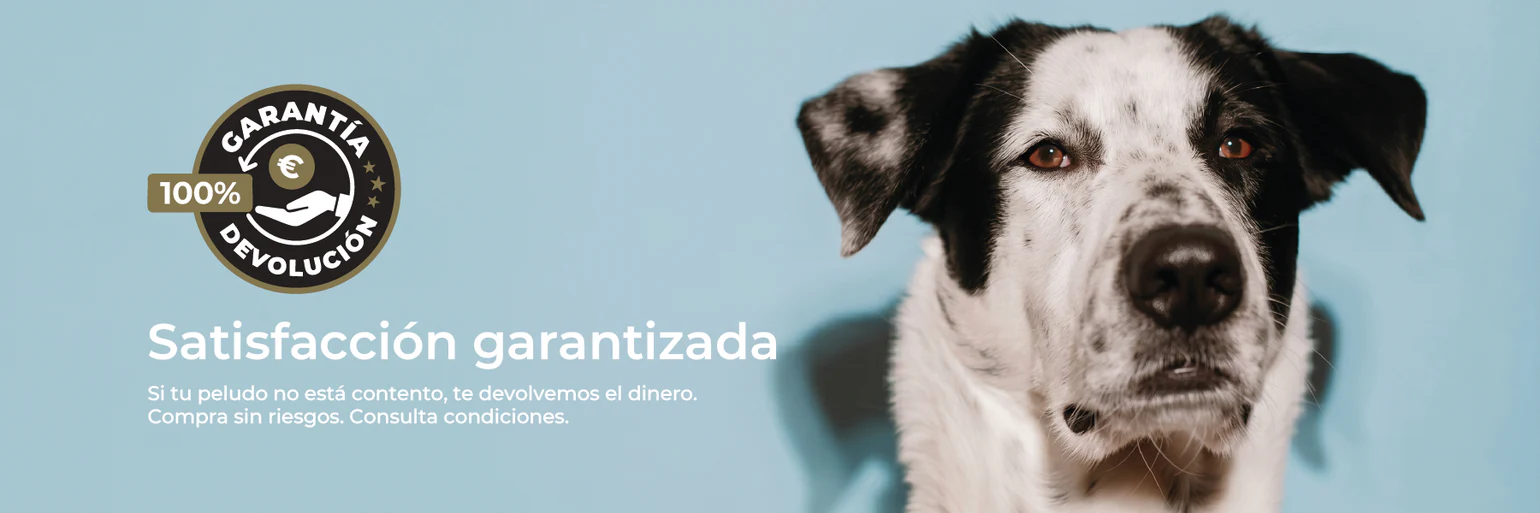 Bienestar de pata en pata
